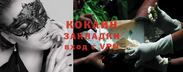 прущие грибы Лагань