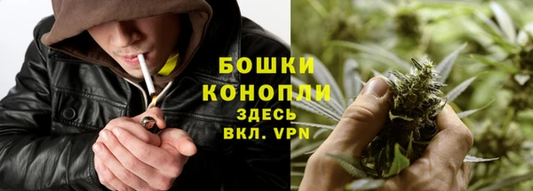 прущие грибы Лагань