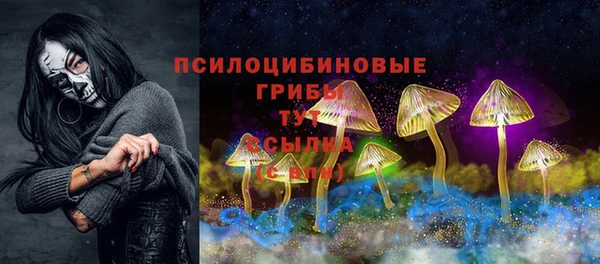 прущие грибы Лагань