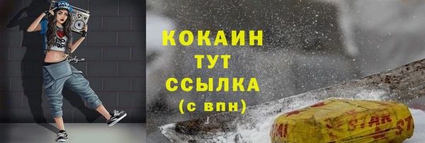 прущие грибы Лагань