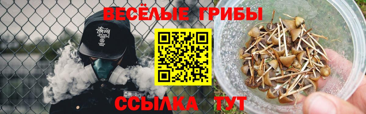Чайковский  Псилоцибиновые грибы GOLDEN TEACHER  Вход с VPN 