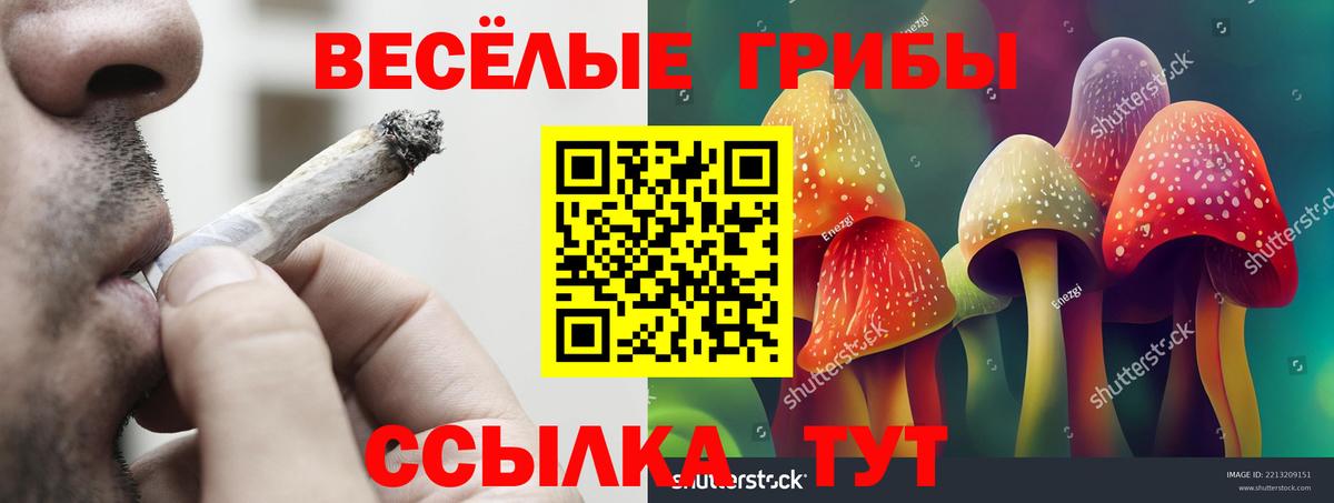 Псилоцибиновые грибы Magic Shrooms Чайковский