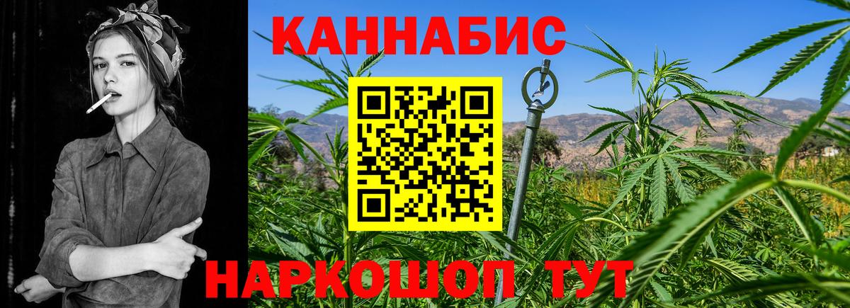 МЕФ Чайковский